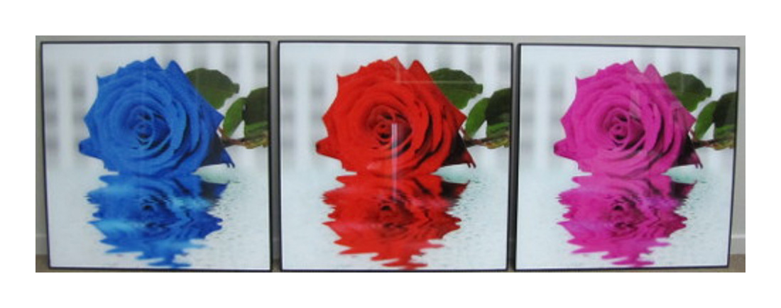 Set/3 Roses set behind glass 