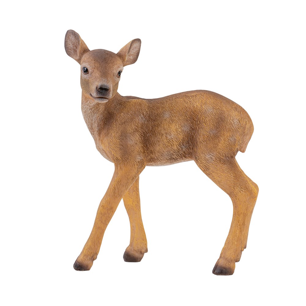 Medium Deer