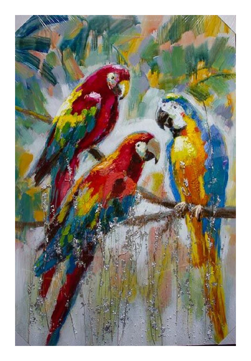 3 Parrots