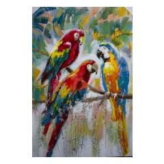 3 Parrots