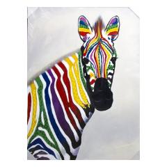 Zebra Colourful